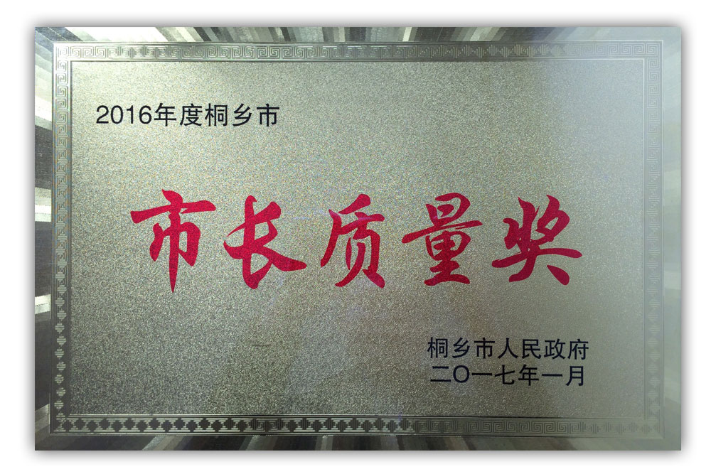 2016年度-桐鄉市市長質量獎